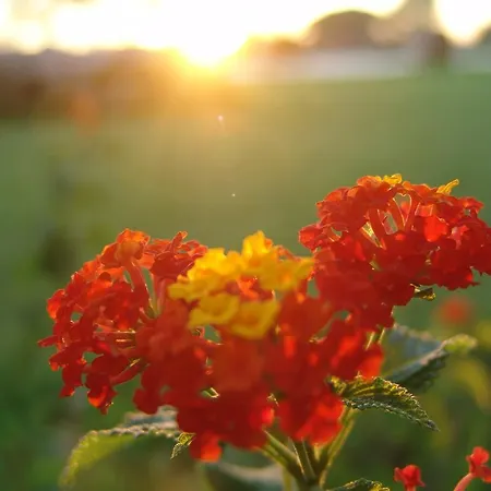 Tenuta Nucci Alojamento de Acomodação e Pequeno-almoço