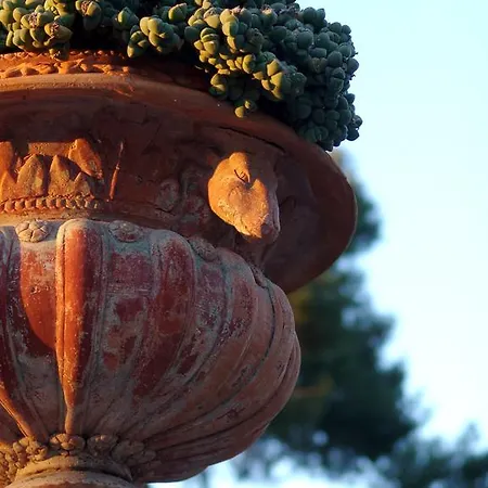 Tenuta Nucci Bed & Breakfast